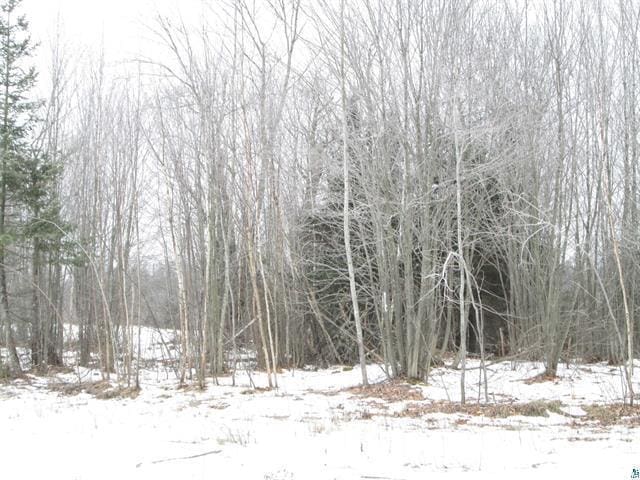 TBD County Rd L, Hawthorne, WI 54874 - photo 27