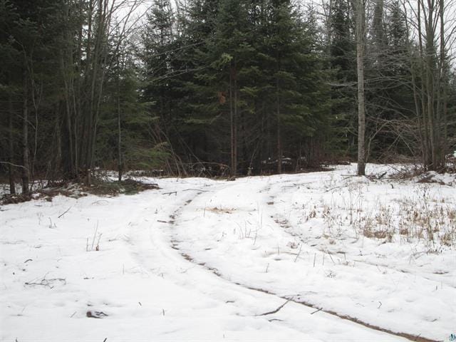 TBD County Rd L, Hawthorne, WI 54874 - photo 28