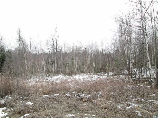 TBD County Rd L, Hawthorne, WI 54874 - photo 29