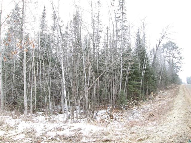 TBD County Rd L, Hawthorne, WI 54874 - photo 31