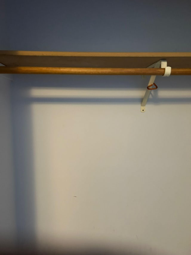 3324 131st Ln NW, Coon Rapids, MN 55448 - view of walk in closet