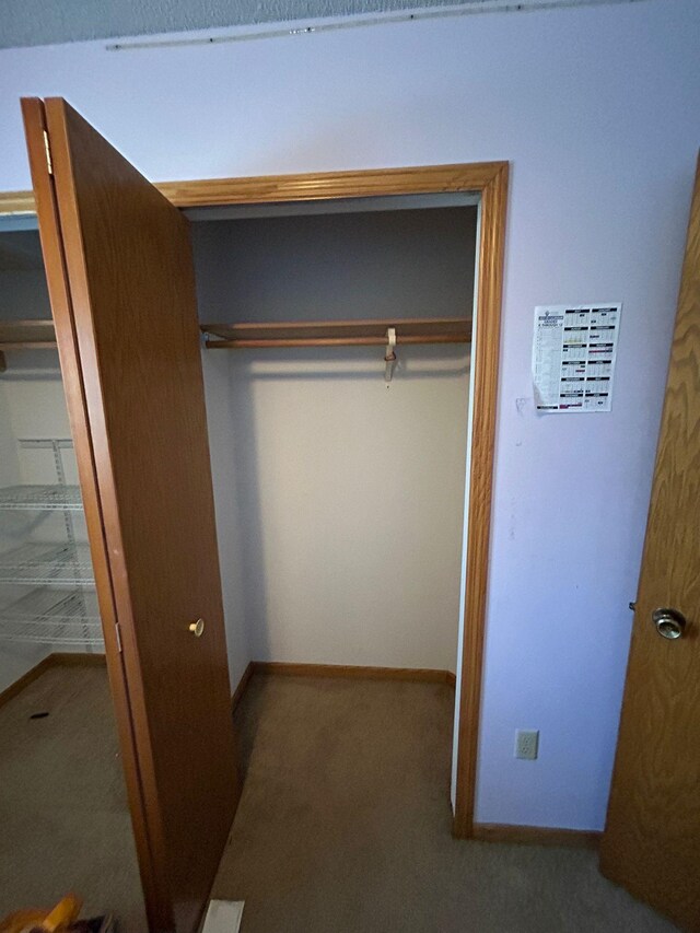 3324 131st Ln NW, Coon Rapids, MN 55448 - view of closet