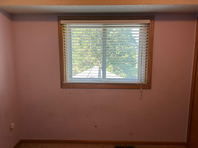 3324 131st Ln NW, Coon Rapids, MN 55448 - unfurnished room featuring plenty of natural light