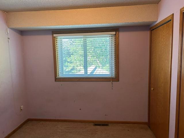 3324 131st Ln NW, Coon Rapids, MN 55448 - spare room with light colored carpet and baseboards