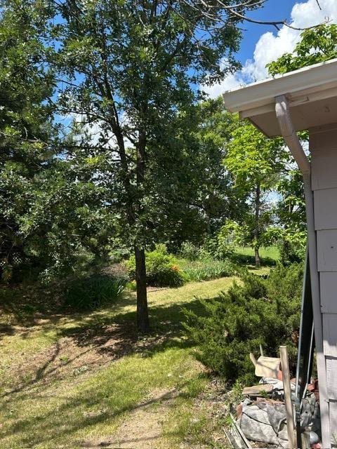 3324 131st Ln NW, Coon Rapids, MN 55448 - view of yard