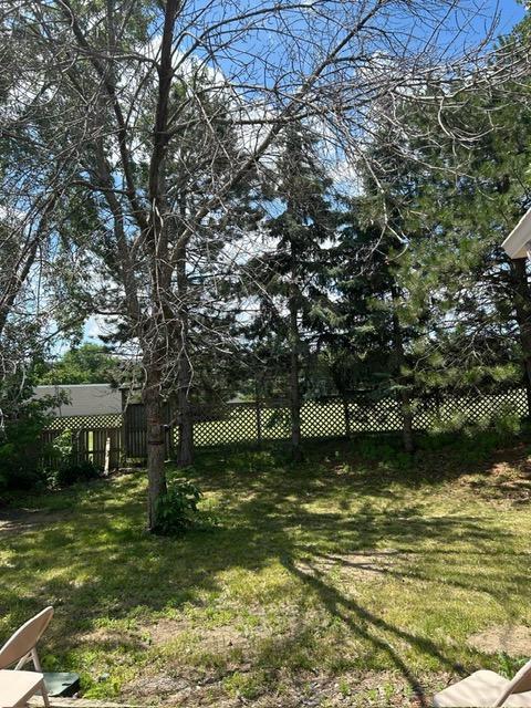 3324 131st Ln NW, Coon Rapids, MN 55448 - view of yard