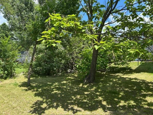 3324 131st Ln NW, Coon Rapids, MN 55448 - view of green lawn