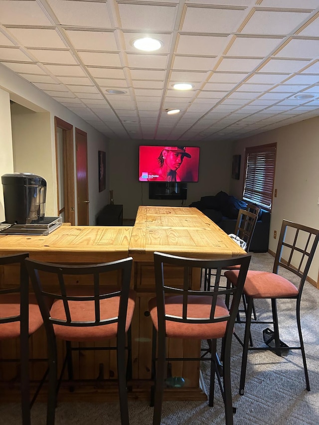 3324 131st Ln NW, Coon Rapids, MN 55448 - indoor bar featuring carpet and recessed lighting