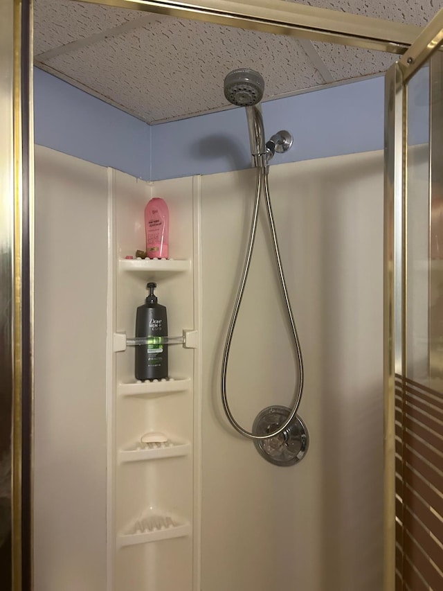 3324 131st Ln NW, Coon Rapids, MN 55448 - bathroom view of a shower