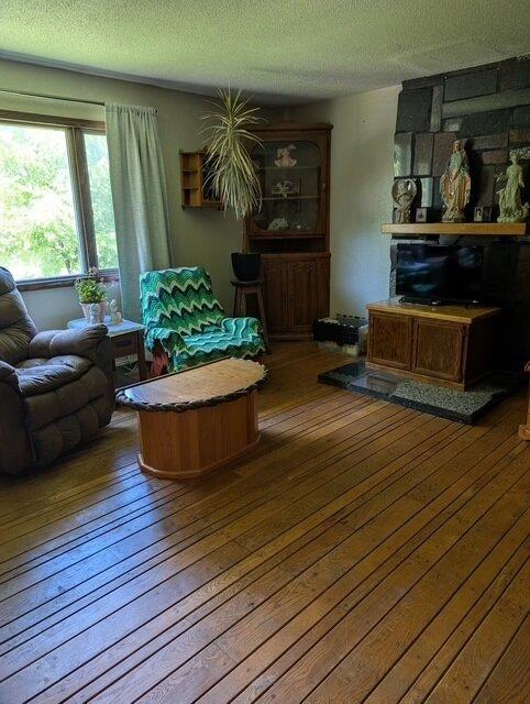 670 23rd Ave NE, Sauk Rapids, MN 56379 - living room featuring a textured ceiling and wood-type flooring