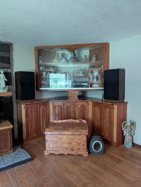 670 23rd Ave NE, Sauk Rapids, MN 56379 - bar area with wood-type flooring and a textured ceiling