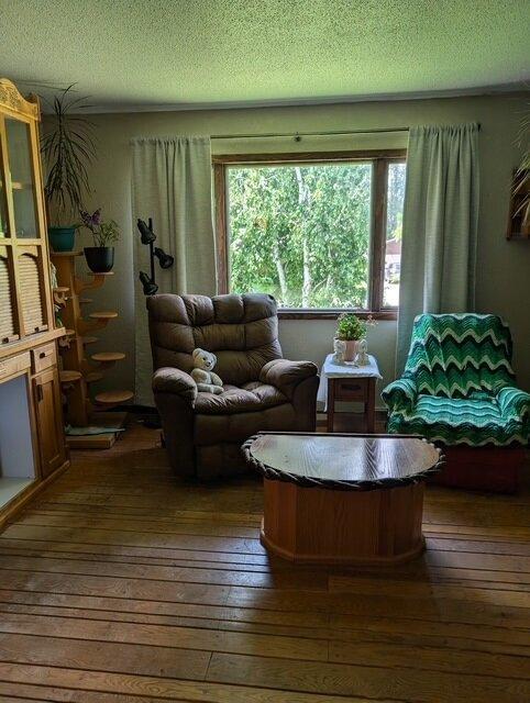 670 23rd Ave NE, Sauk Rapids, MN 56379 - living area featuring dark wood-style flooring and a textured ceiling