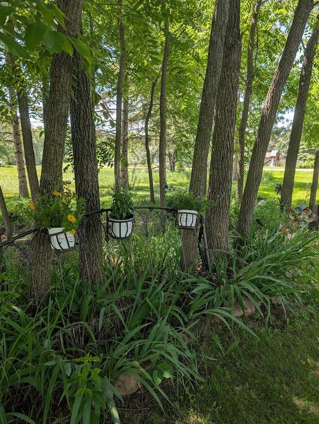 670 23rd Ave NE, Sauk Rapids, MN 56379 - view of yard