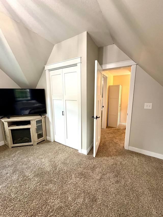 2812 150th St, Maxwell Twp, MN 56232 - bonus room with vaulted ceiling, carpet, and a textured ceiling