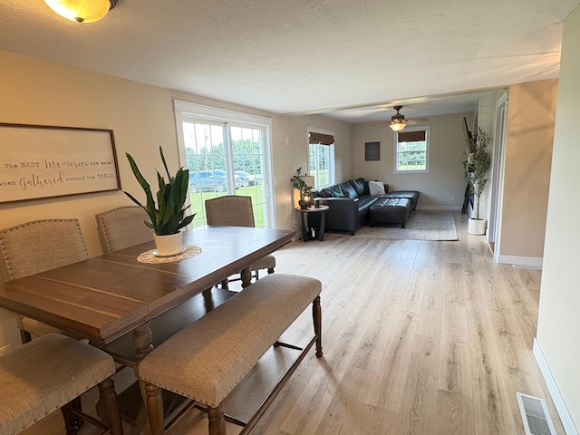 2812 150th St, Maxwell Twp, MN 56232 - dining area featuring light wood-style floors and a ceiling fan