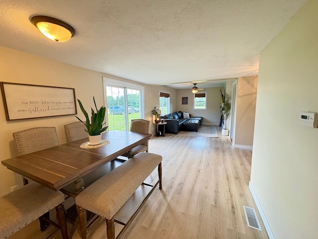 2812 150th St, Maxwell Twp, MN 56232 - dining space with light wood-type flooring, a textured ceiling, and a ceiling fan