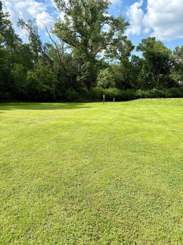 2812 150th St, Maxwell Twp, MN 56232 - view of green lawn
