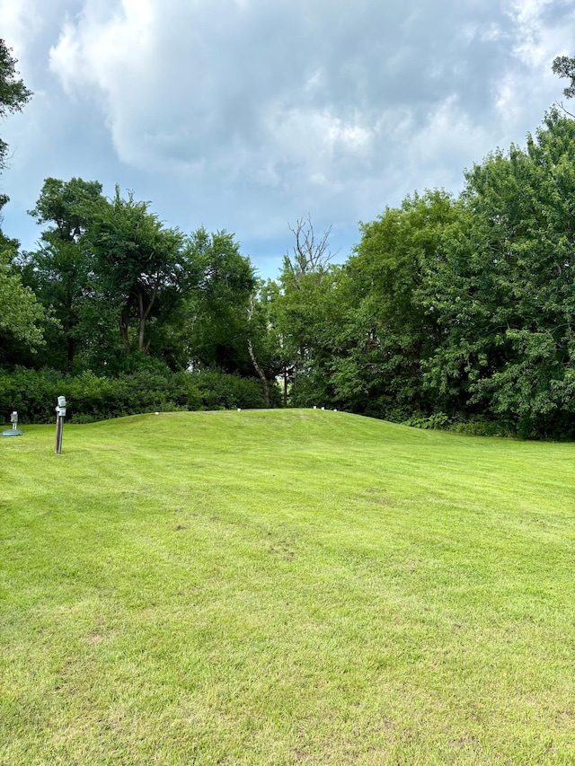 2812 150th St, Maxwell Twp, MN 56232 - view of grassy yard