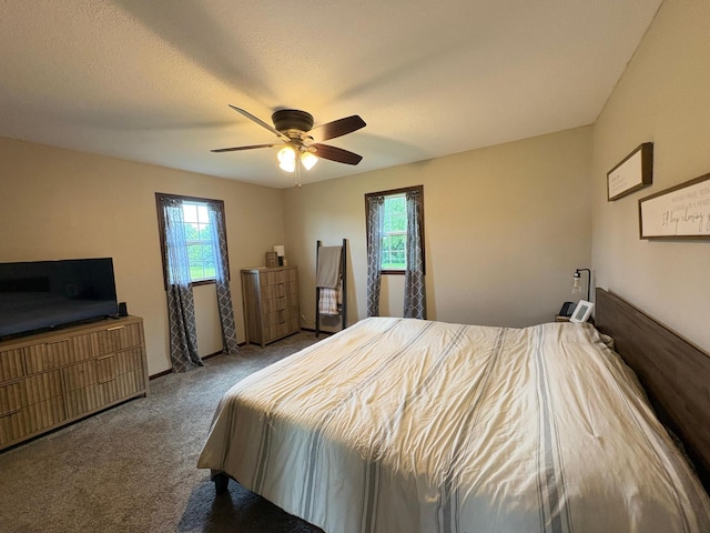 2812 150th St, Maxwell Twp, MN 56232 - carpeted bedroom featuring multiple windows and ceiling fan