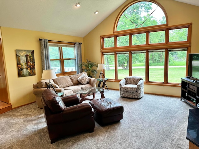 14158 185th Ave NE, Smiley Twp, MN 56701 - carpeted living room featuring healthy amount of natural light, high vaulted ceiling, and recessed lighting