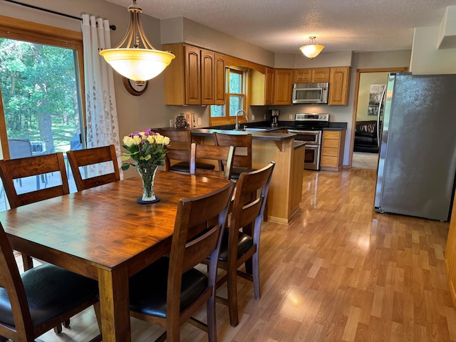 14158 185th Ave NE, Smiley Twp, MN 56701 - kitchen with appliances with stainless steel finishes, dark countertops, light wood finished floors, a peninsula, and brown cabinets