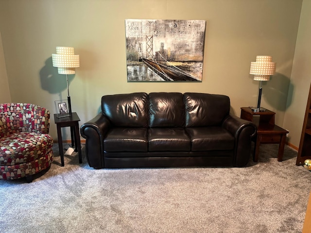 14158 185th Ave NE, Smiley Twp, MN 56701 - living room featuring carpet floors and baseboards