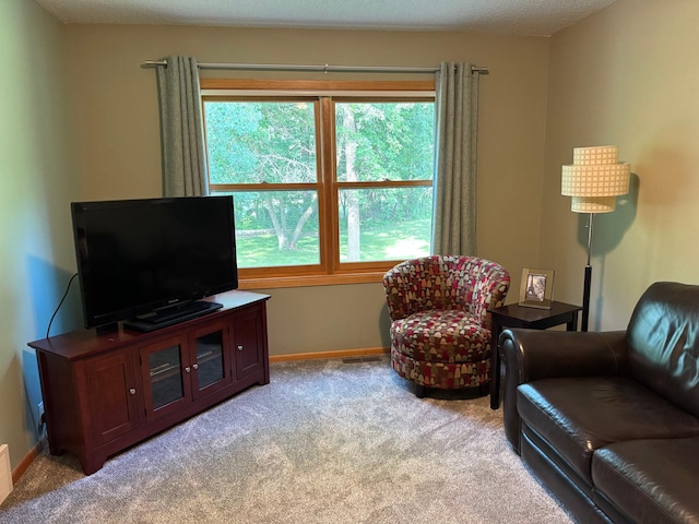 14158 185th Ave NE, Smiley Twp, MN 56701 - living area featuring light colored carpet