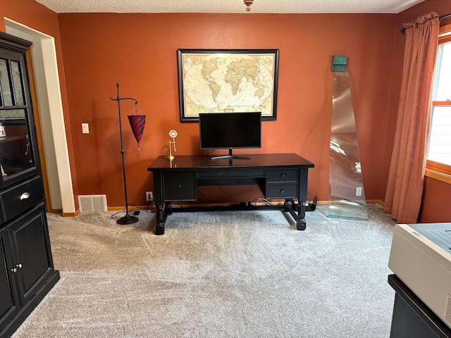 14158 185th Ave NE, Smiley Twp, MN 56701 - carpeted home office featuring baseboards and a textured ceiling