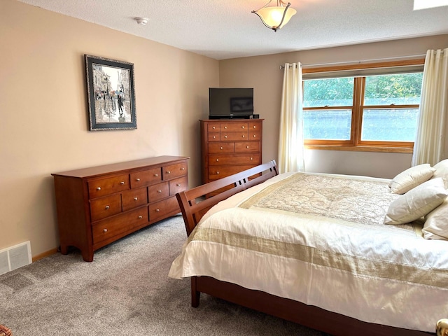 14158 185th Ave NE, Smiley Twp, MN 56701 - bedroom with light colored carpet and a textured ceiling