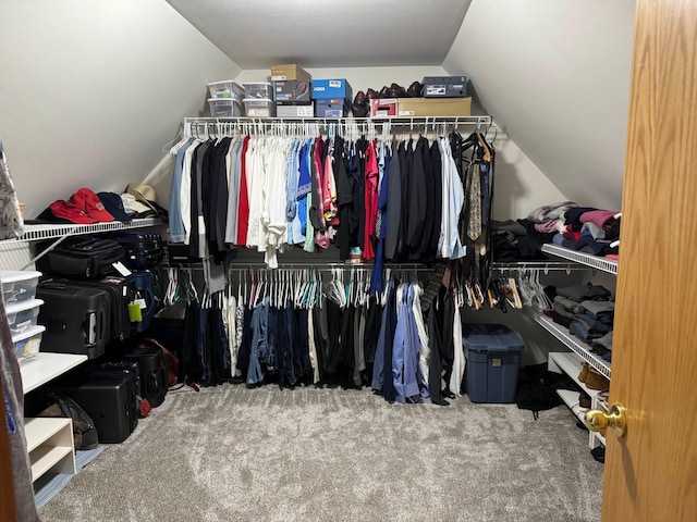 14158 185th Ave NE, Smiley Twp, MN 56701 - spacious closet featuring lofted ceiling and carpet floors