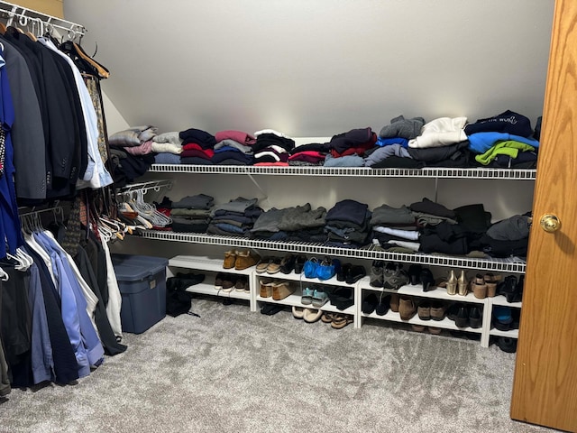 14158 185th Ave NE, Smiley Twp, MN 56701 - walk in closet with carpet flooring