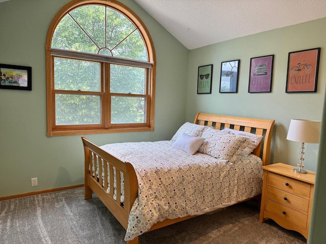14158 185th Ave NE, Smiley Twp, MN 56701 - bedroom featuring carpet floors and lofted ceiling