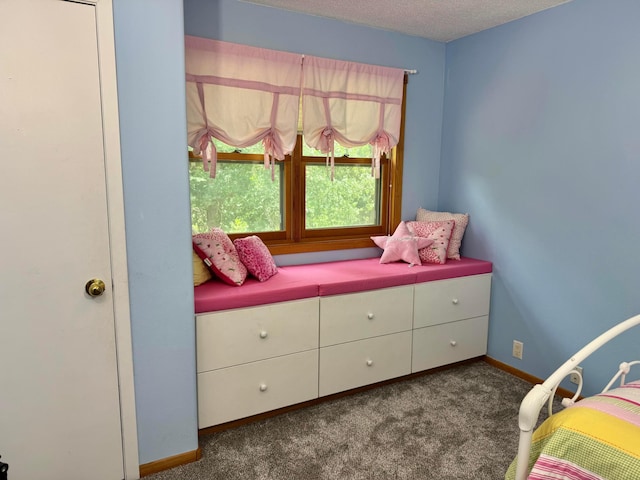 14158 185th Ave NE, Smiley Twp, MN 56701 - bedroom featuring dark colored carpet and a textured ceiling