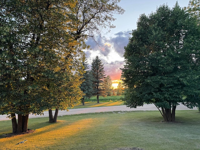 14158 185th Ave NE, Smiley Twp, MN 56701 - surrounding community featuring a yard