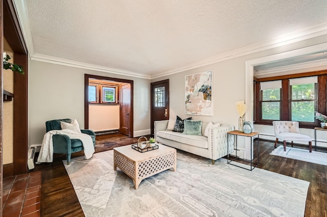 983 18th Ave SE, Minneapolis, MN 55414 - living area featuring crown molding, plenty of natural light, a textured ceiling, wood finished floors, and a baseboard heating unit
