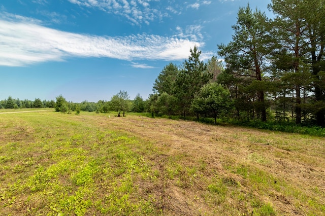 660 Willow Trl, Saint Mathias Twp, MN 56401 - photo 5