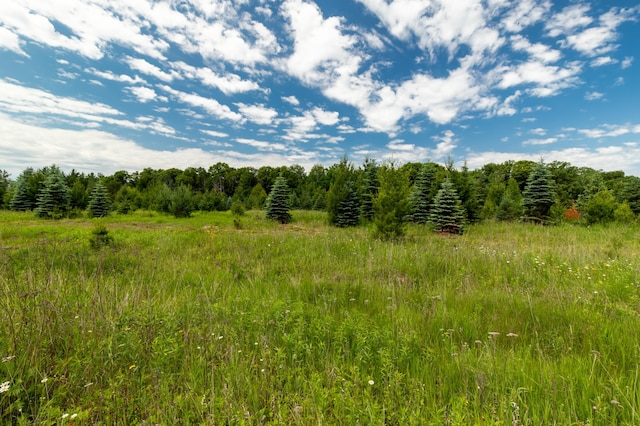 660 Willow Trl, Saint Mathias Twp, MN 56401 - photo 9