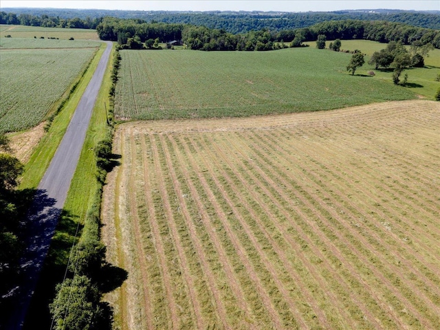 N7420 110th St, Spring Lake Twp, WI 54767 - view of rural area with rows of crops