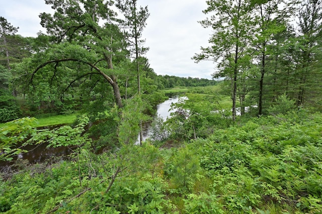 N5020 Red Pine Trl, Evergreen Twp, WI 54801 - water view with a forest
