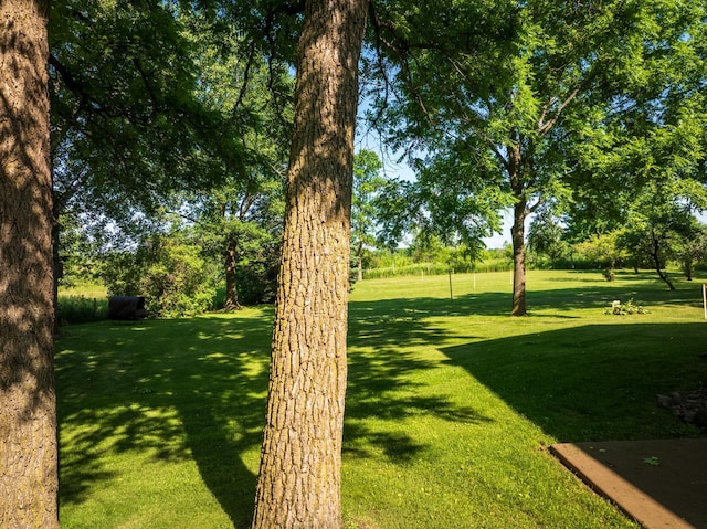 12385 Emma Rd, Hinckley Twp, MN 55037 - photo 79