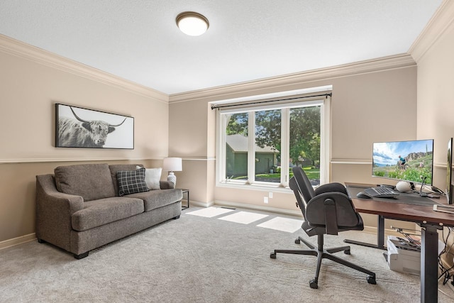 11280 Bluestem Ln, Eden Prairie, MN 55347 - home office with ornamental molding and carpet