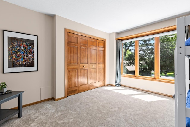 11280 Bluestem Ln, Eden Prairie, MN 55347 - unfurnished bedroom with carpet flooring and a closet