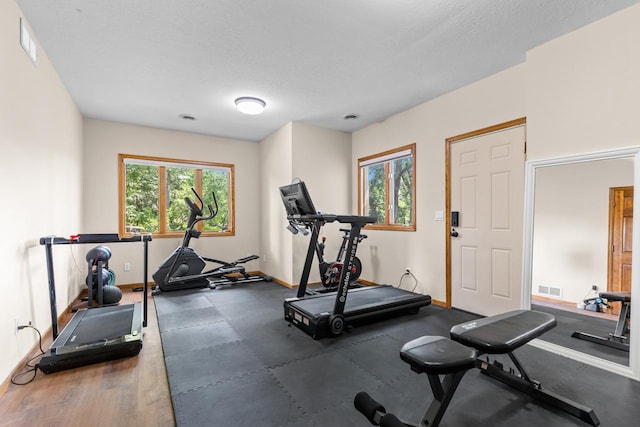 11280 Bluestem Ln, Eden Prairie, MN 55347 - exercise area featuring healthy amount of natural light and a textured ceiling