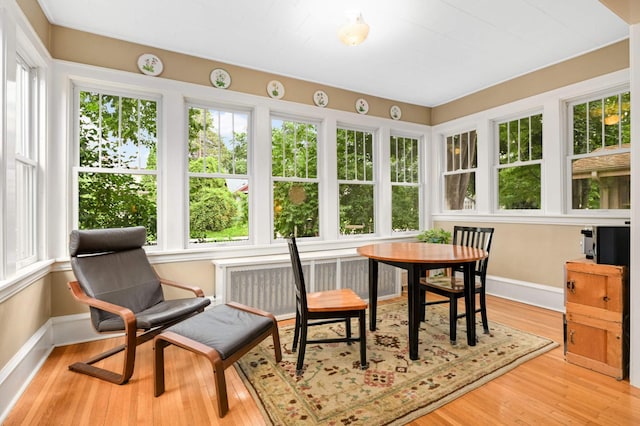 901 42nd St, Minneapolis, MN 55409 - sunroom with plenty of natural light, radiator heating unit, and wood finished floors