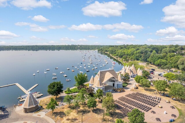 901 42nd St, Minneapolis, MN 55409 - drone / aerial view of a large body of water and a forest