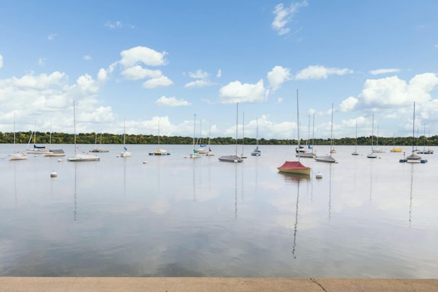 901 42nd St, Minneapolis, MN 55409 - water view