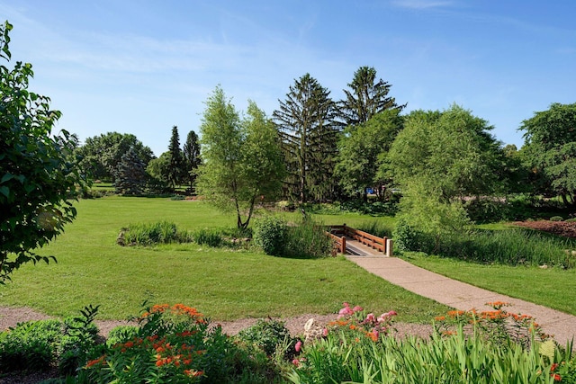 901 42nd St, Minneapolis, MN 55409 - surrounding community featuring a lawn