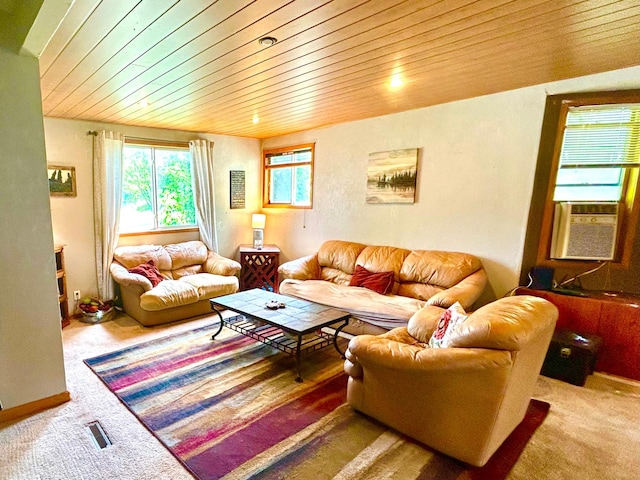 1017 Baxter Ave, Superior, WI 54880 - photo 4