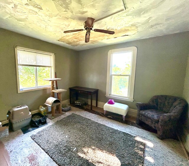 1017 Baxter Ave, Superior, WI 54880 - photo 15