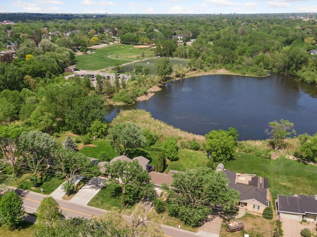 4116 62nd St, Edina, MN 55424 - photo 45